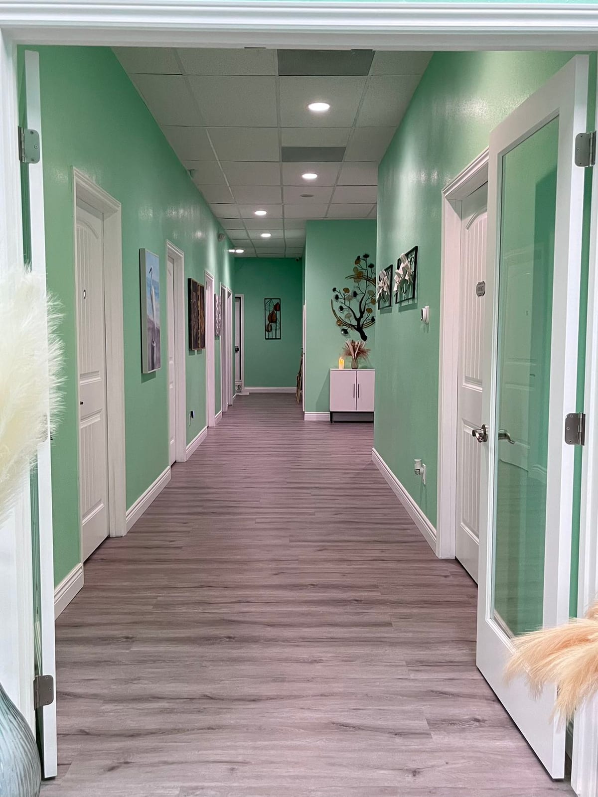 Spa Tenant Improvement — Proposed